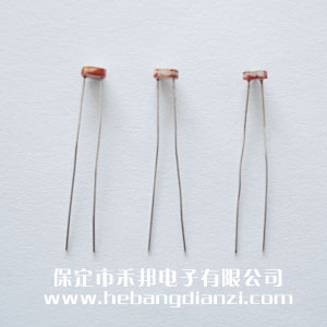 &#24517;&#36194;&#22312;&#32447;&#23458;&#26381;&#45;&#24517;&#36194;&#40;&#20013;&#22269;&#41;